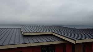 Fast & Reliable Emergency Roof Repairs in Twisp, WA